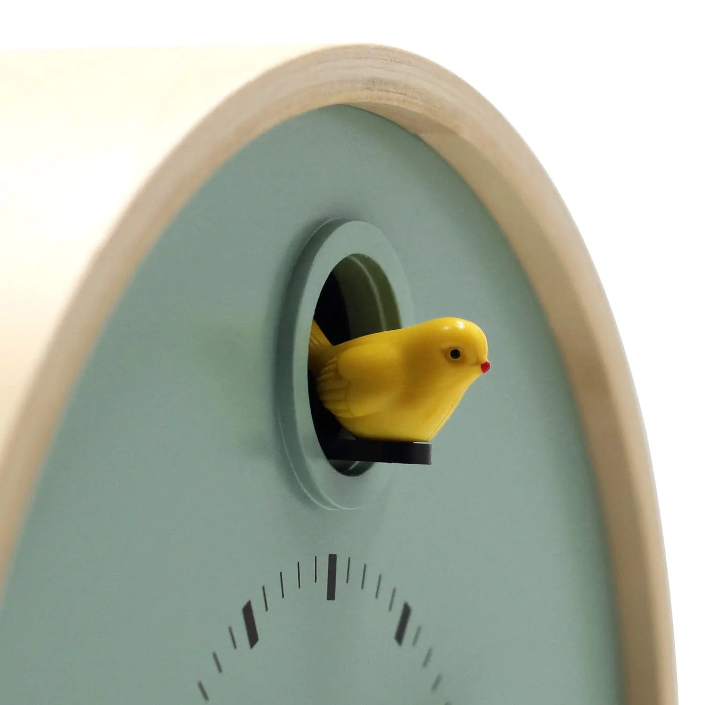 Dot Sage Cuckoo Clock