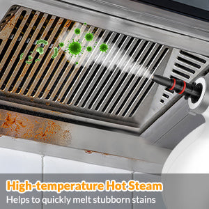 Handheld Pressurized Steam Cleaner with 12 pcs Accessories