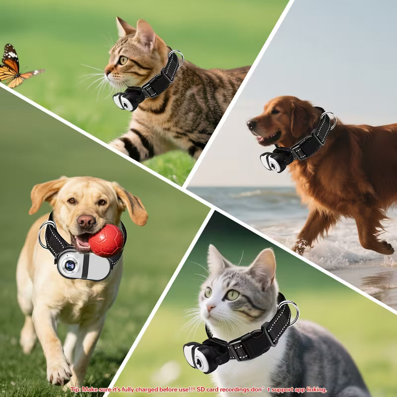 HD 1080P Cat Collar Camera - Wireless Mini Video Recorder for Pet Adventure Tracking
